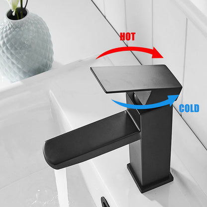 Stainless steel black paint basin faucet